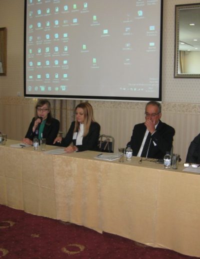 COMMON AGRICULTURAL POLICY - NOW AND FUTURE 1